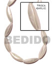 Shell Beads