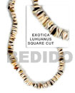 Exotica Luhuanus Shell In Shell Beads
