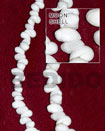 Moon Shell Whole In Shell Beads