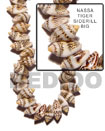Nassa Tiger Shell Sidedrill In Beads Strands Or Necklace