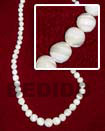 Shell Necklace