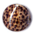 Native Round Tiger Cowrie 40mm Shell Pendant Shell Pendant