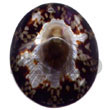 Limpit Oval Pendants