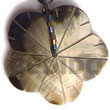 Native Black Lip Scallop W/ Shell Pendant Shell Pendant