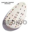 Native Cunos Teardrop Pendant Shell Pendant Shell Pendant