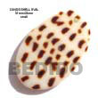 Native Cunos Oval Pendant Shell Pendant Shell Pendant